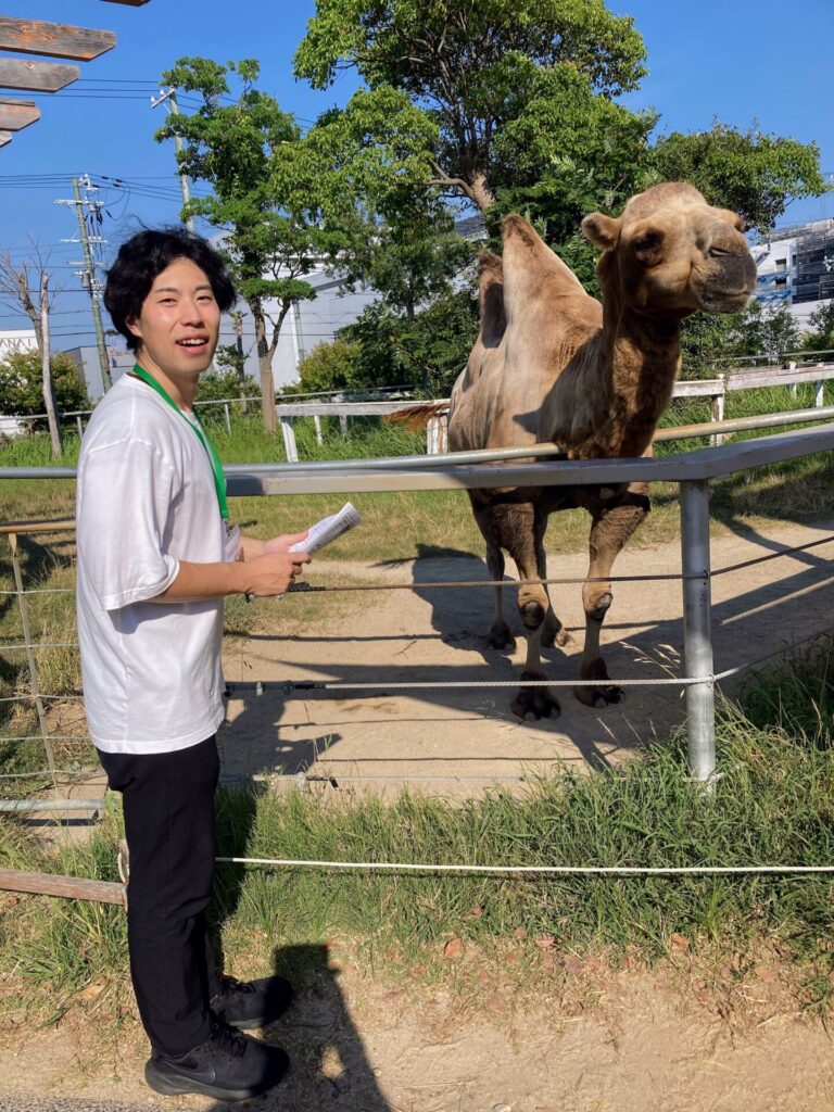 神戸どうぶつ王国　らくだ