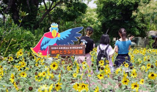 【神戸キャンパス】リアル遠足 in 神戸どうぶつ王国