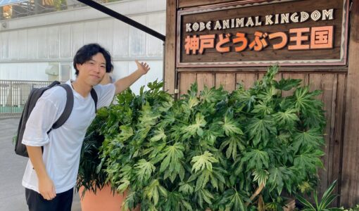 【神戸キャンパス】リアル遠足の準備が進行中！